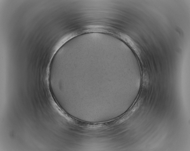 X0000110991386200907101422