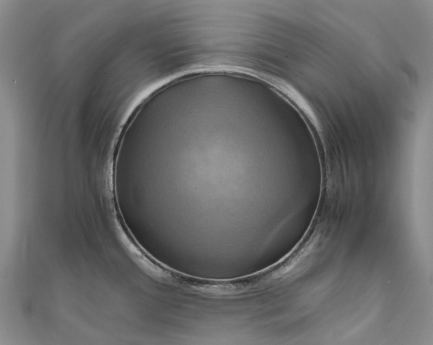 X0000110991388200907101422