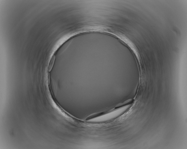X0000110991389200907101422