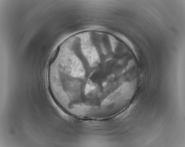 X0000110991391200907101421