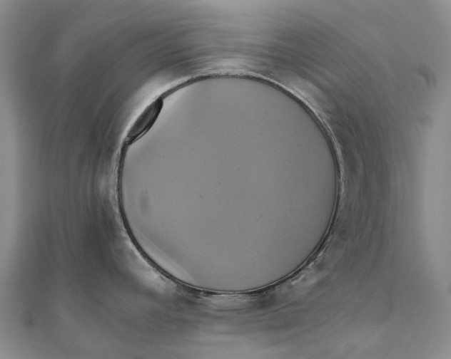 X0000110991392200907101421