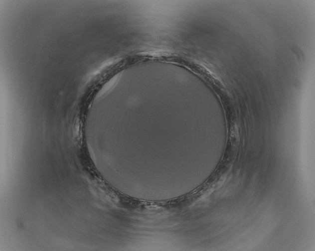 X0000110991398200907101421