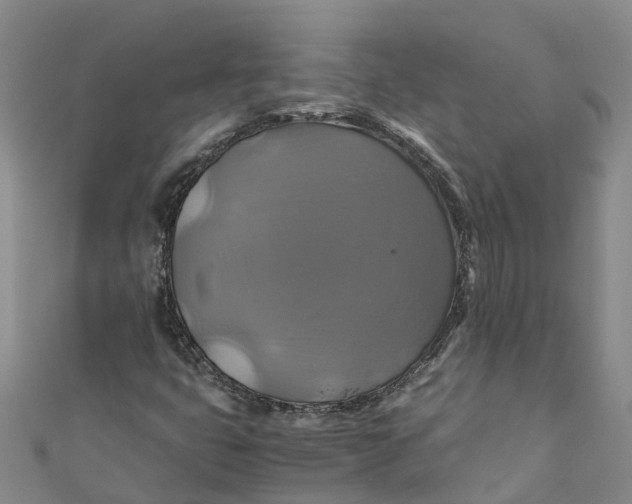 X0000110991399200907101421