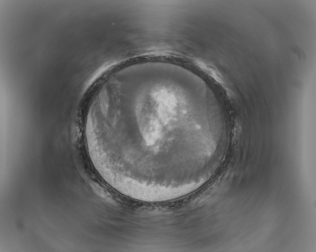 X0000110991400200907101421