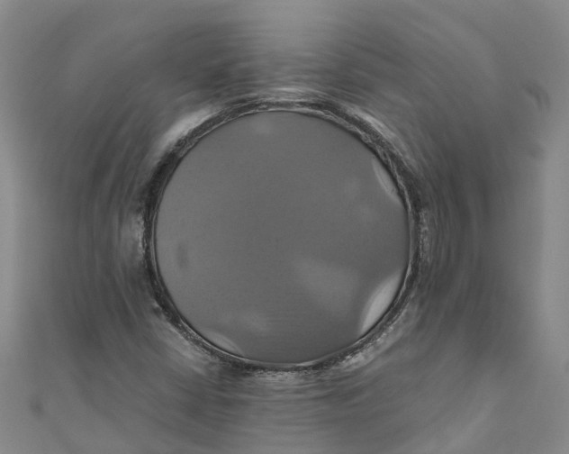 X0000110991402200907101421