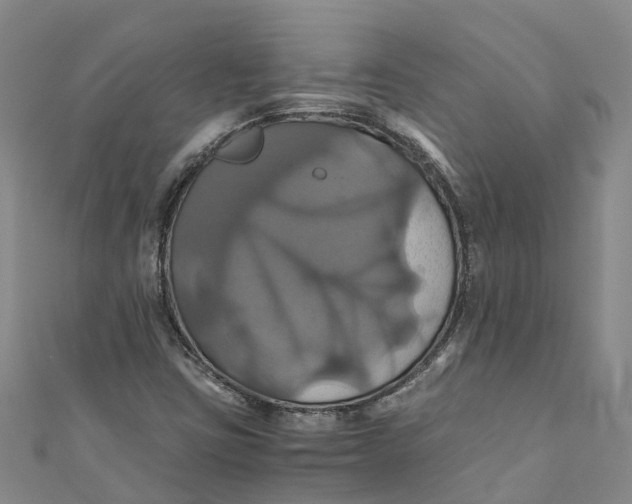 X0000110991403200907101421