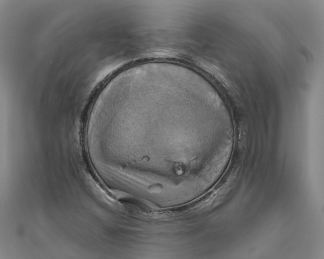 X0000110991404200907101421