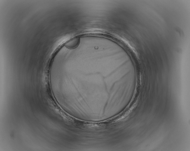 X0000110991405200907101421