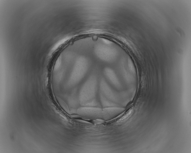 X0000110991406200907101421