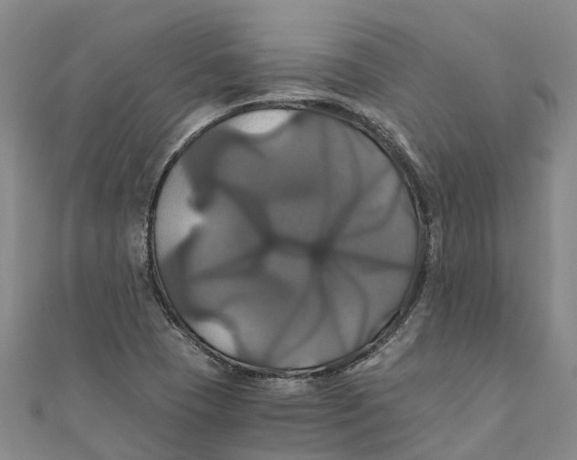 X0000110991409200907101421
