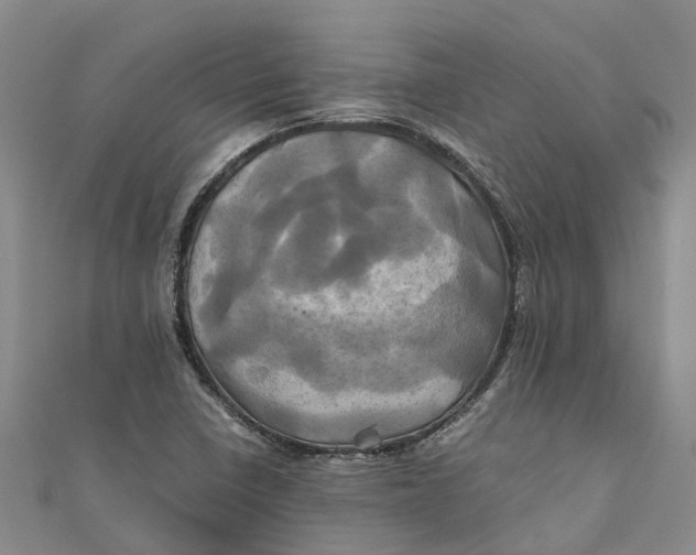 X0000110991410200907101421