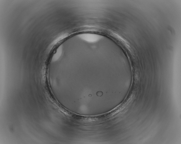 X0000110991411200907101421