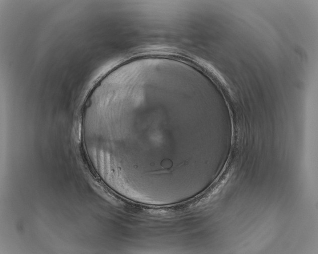 X0000110991413200907101421