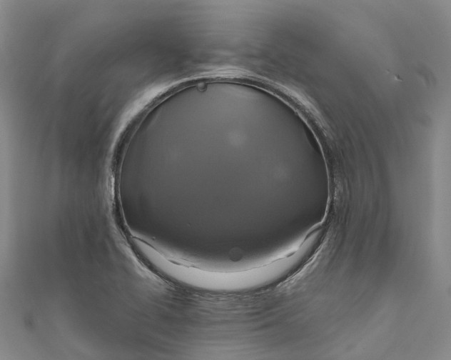 X0000110991414200907101421