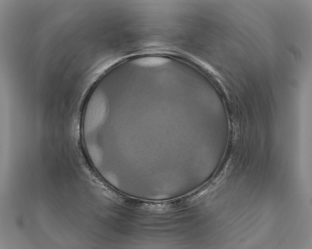 X0000110991415200907101421