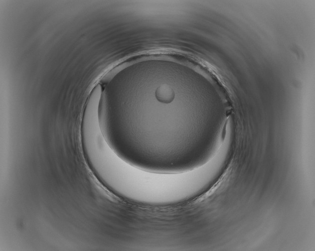 X0000110991417200907101421