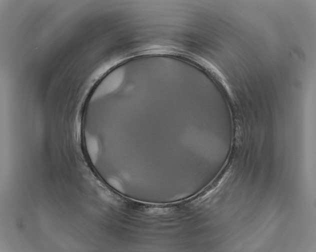 X0000110991419200907101421