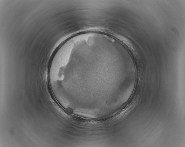 X0000110991420200907101421