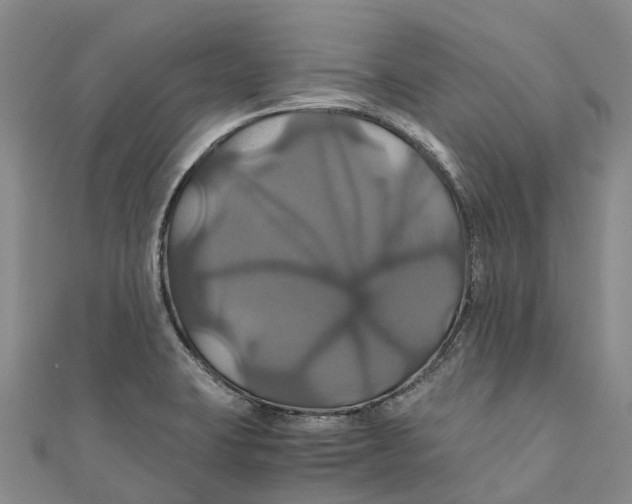 X0000110991423200907101421