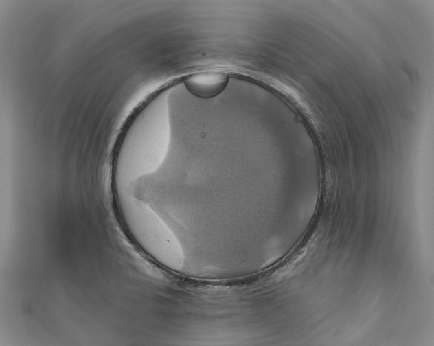 X0000110991424200907101421