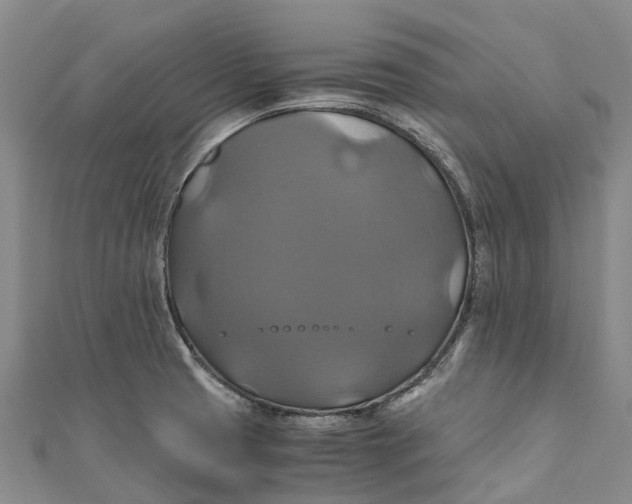 X0000110991425200907101421