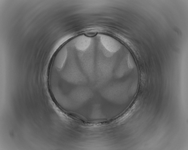 X0000110991426200907101421