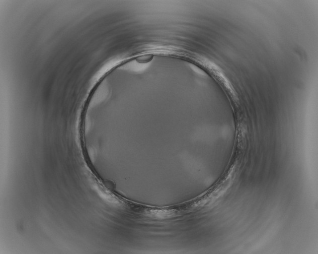 X0000110991427200907101421