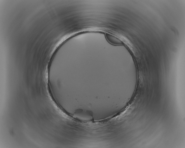 X0000110991428200907101421