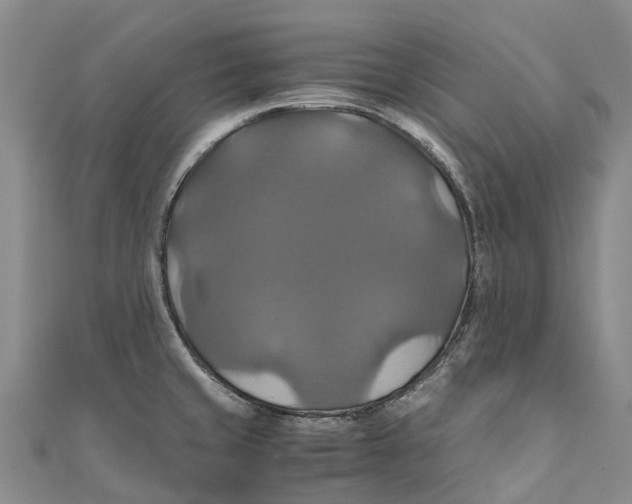 X0000110991429200907101421