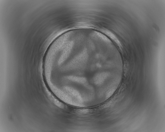 X0000110991431200907101421