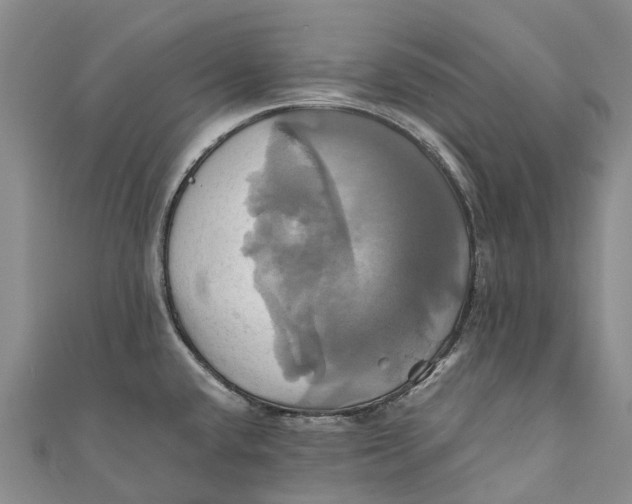 X0000110991432200907101421