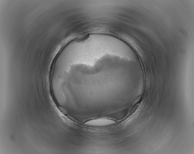 X0000110991434200907101421