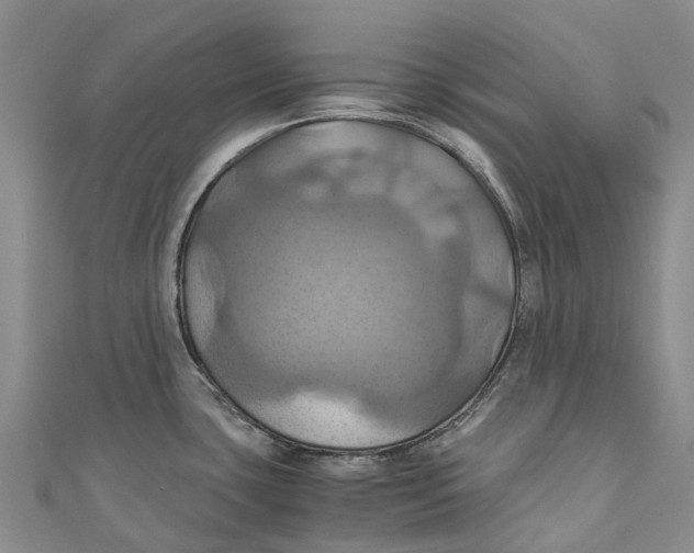 X0000110991435200907101421
