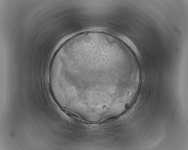 X0000110991436200907101421