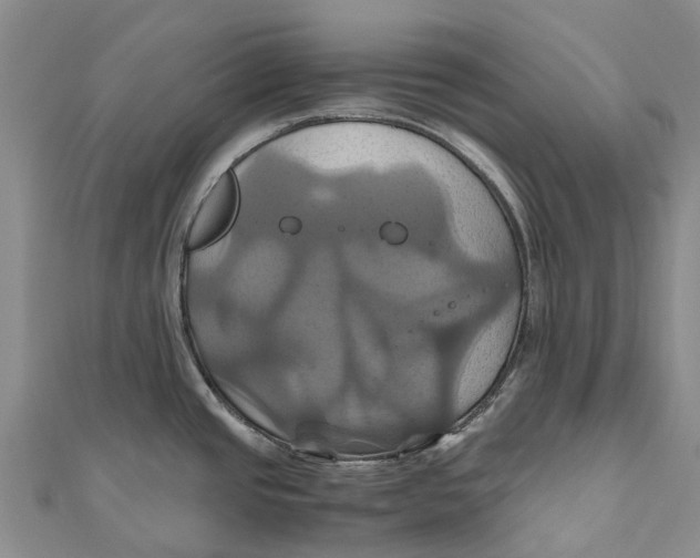 X0000110991437200907101421
