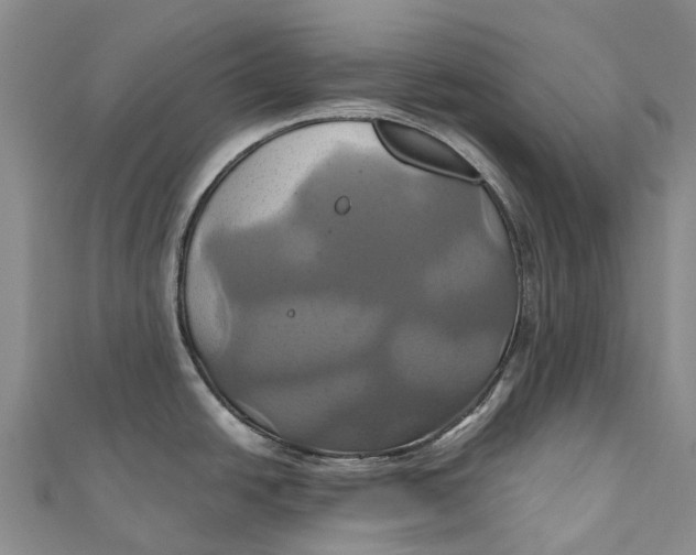 X0000110991438200907101421
