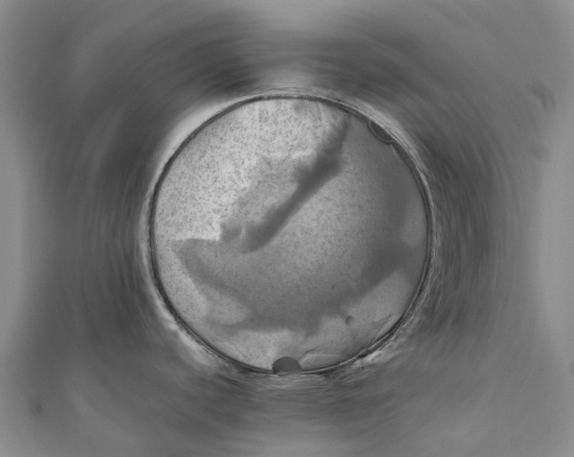 X0000110991440200907101421