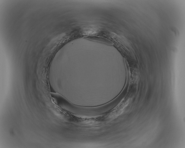 X0000110991441200907101421