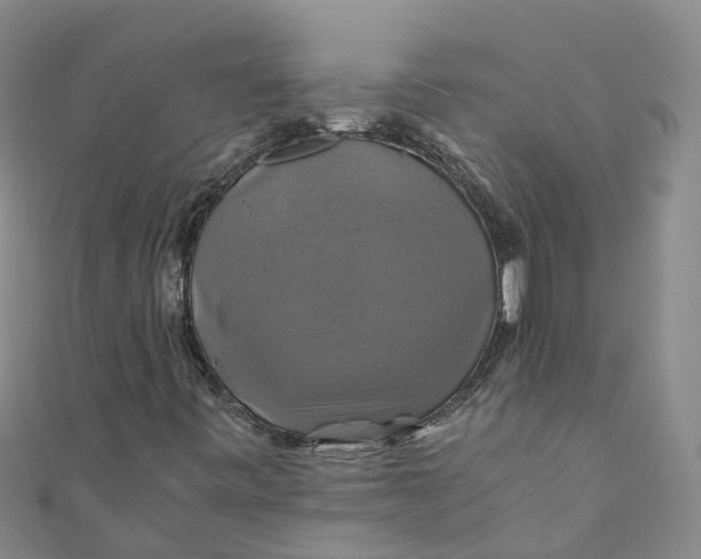 X0000110991443200907101421