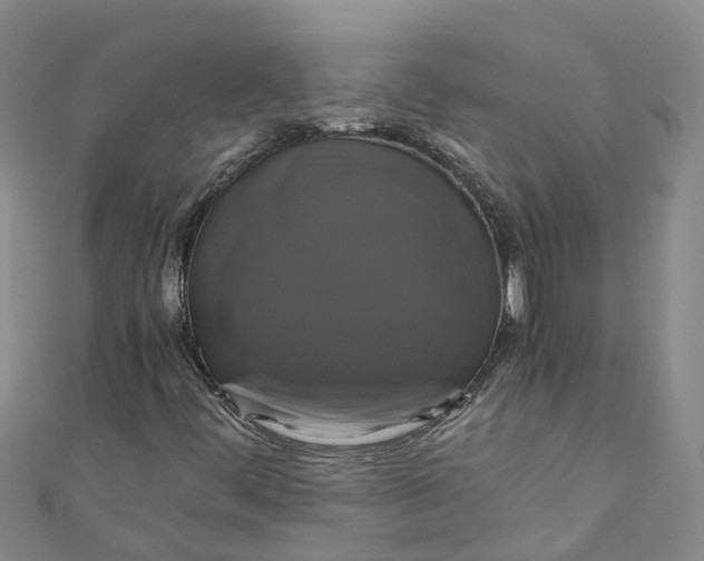 X0000110991444200907101421