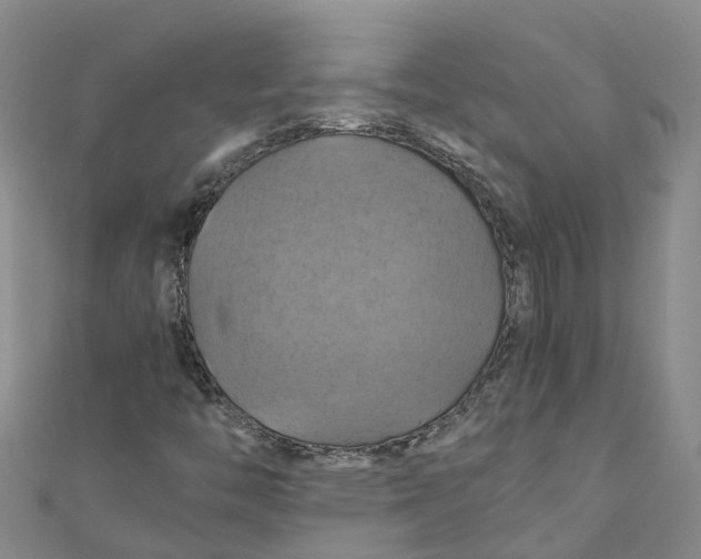 X0000110991446200907101421