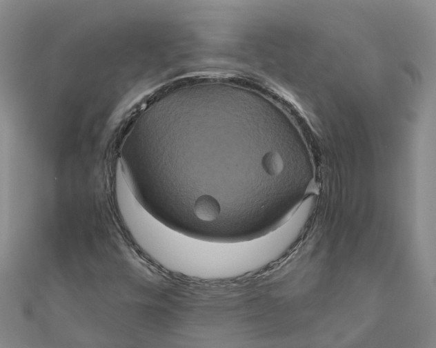 X0000110991448200907101421