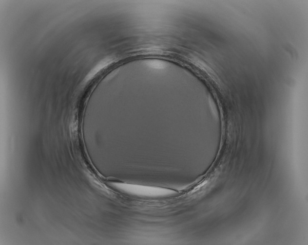 X0000110991450200907101421
