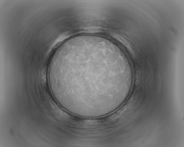 X0000110991451200907101421