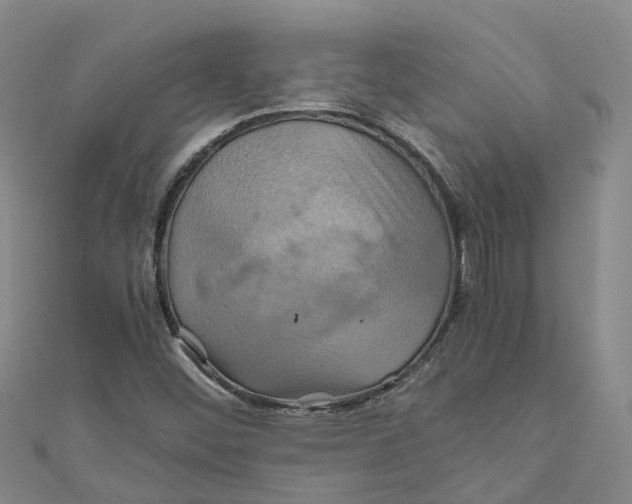 X0000110991452200907101421