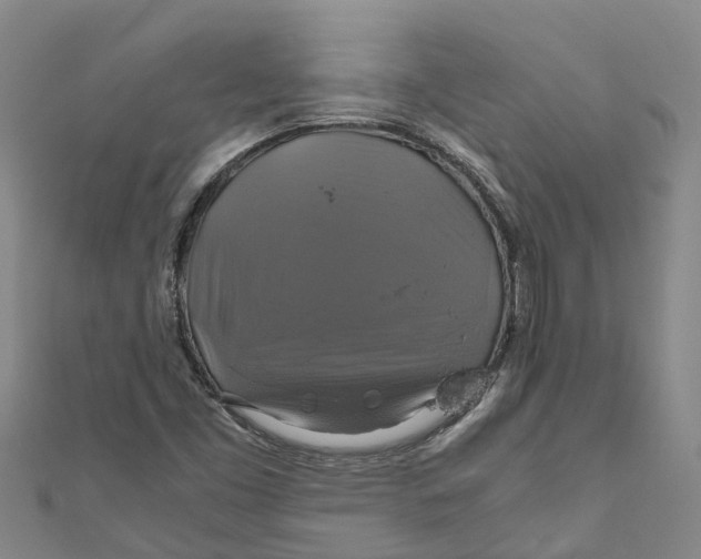 X0000110991453200907101421