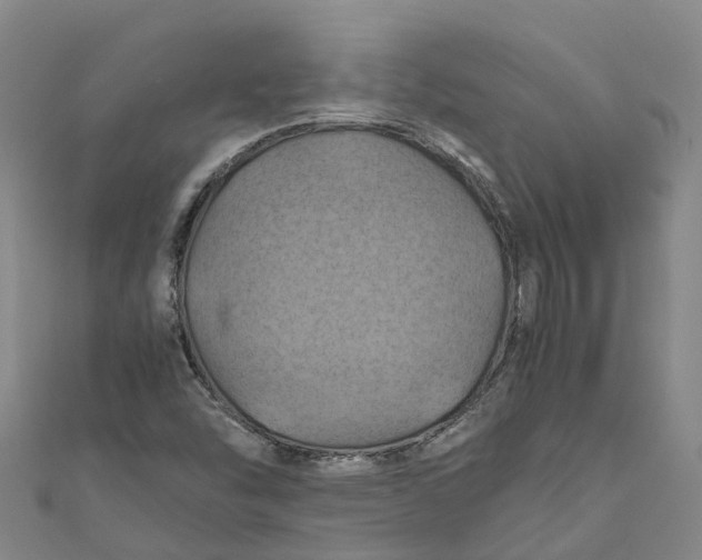 X0000110991454200907101421