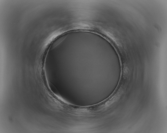 X0000110991455200907101421