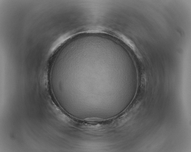 X0000110991456200907101420