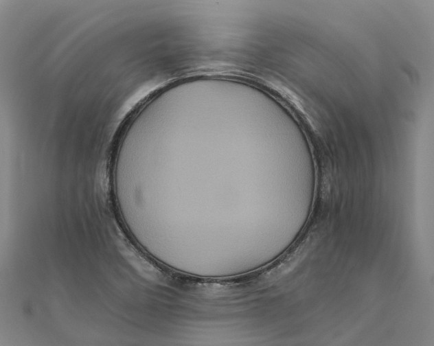 X0000110991458200907101420